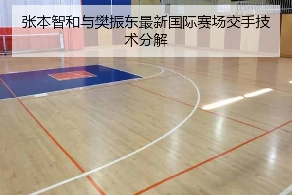 张本智和与樊振东最新国际赛场交手技术分解 - 333sports